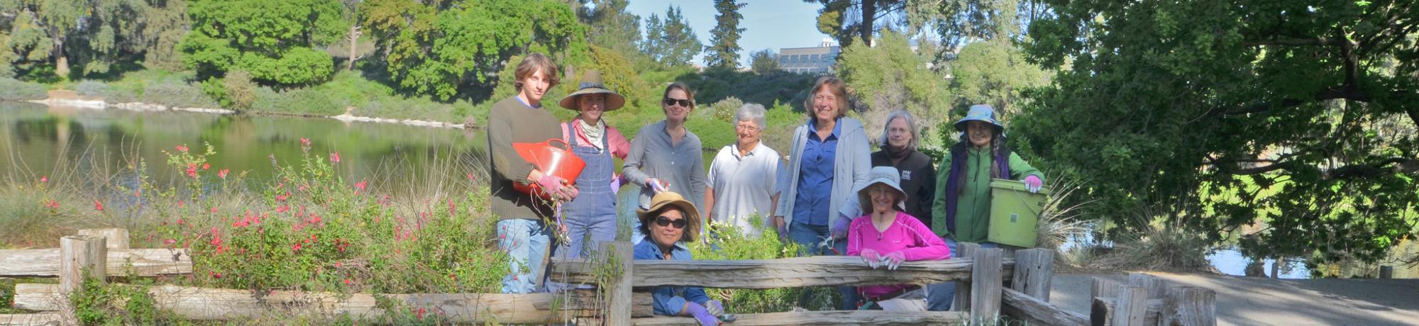 Image of UC Davis Arboretum and Public Garden volunteers gardening in the Arboretum.