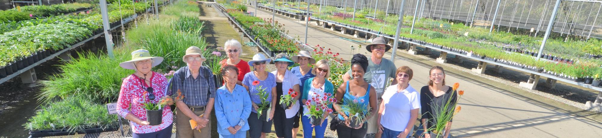 Uc Davis Arboretum And Public Garden Plant Sales