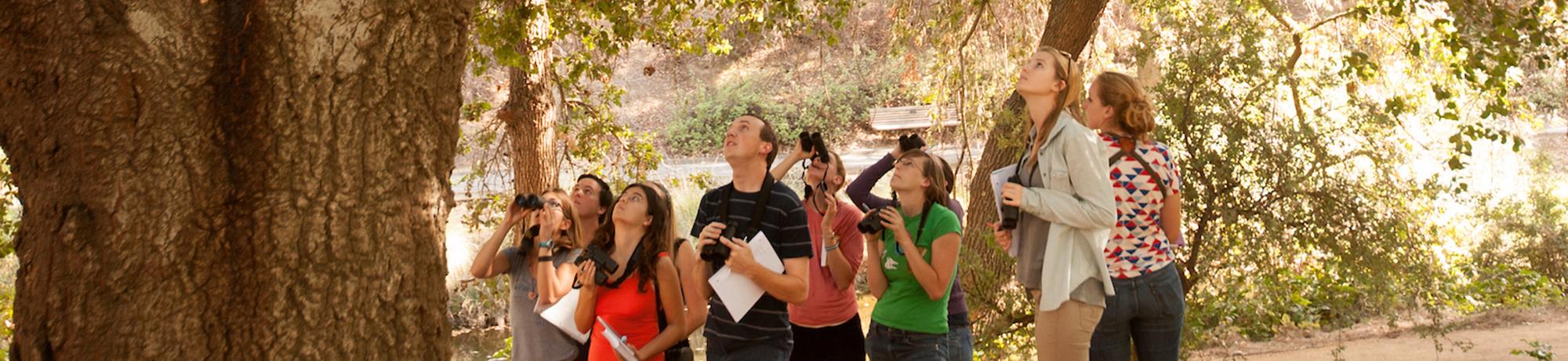 Image of students looking for birds in the UC Davis Arboretum