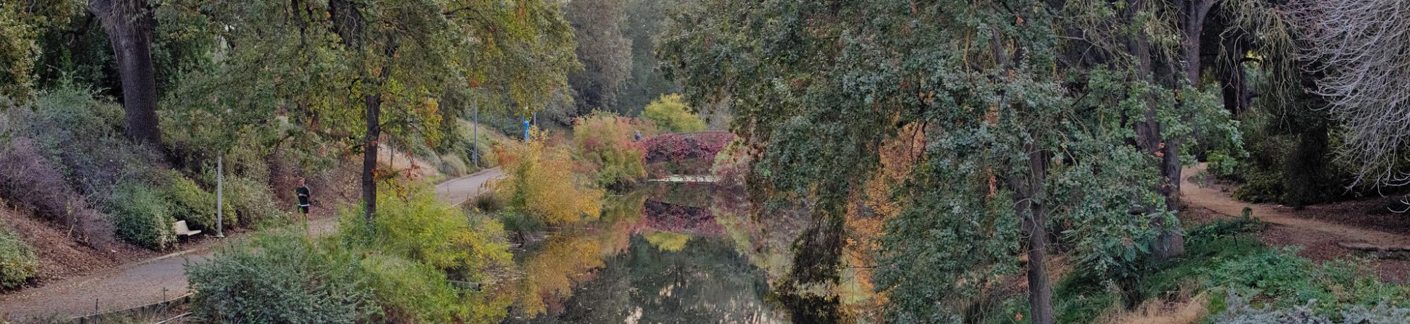 Image of the UC Davis Arboretum California Foothill Collection.