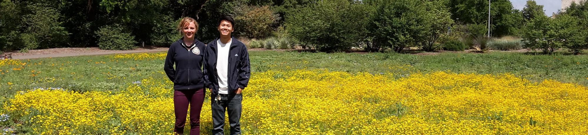 Image of Learning by Leading Sustainable Horticulture interns in a student-planted wildflower meadow.