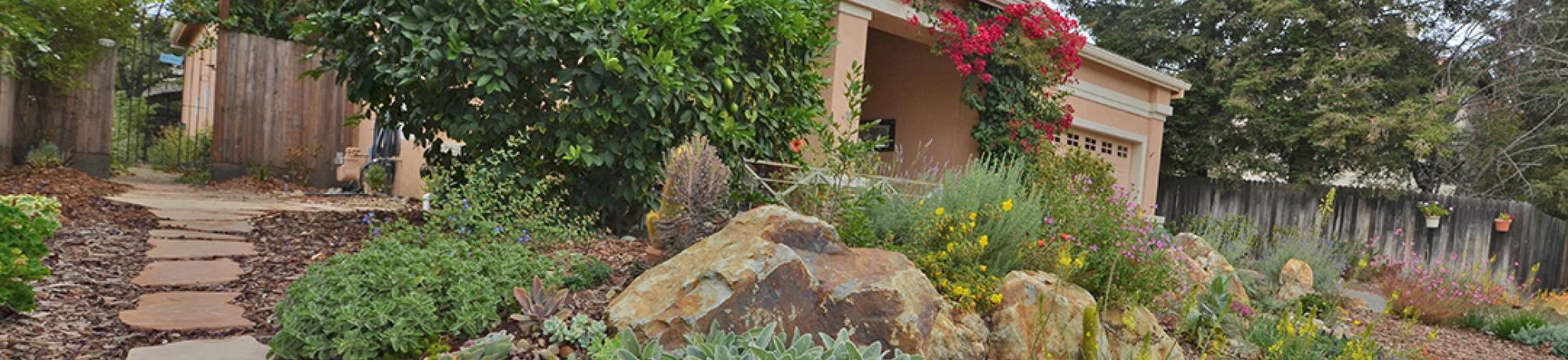 Life After Lawn Advice:  Plant for Year-round Color
