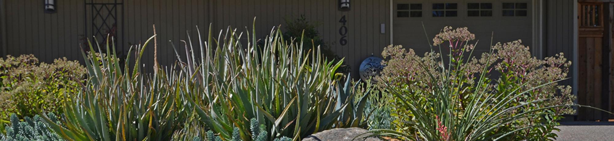 Life After Lawn Advice:  Learn by Doing
