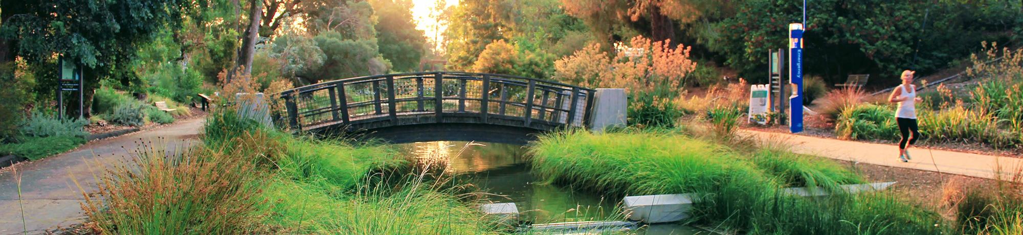 After phase of the Arboretum Waterway enhancements